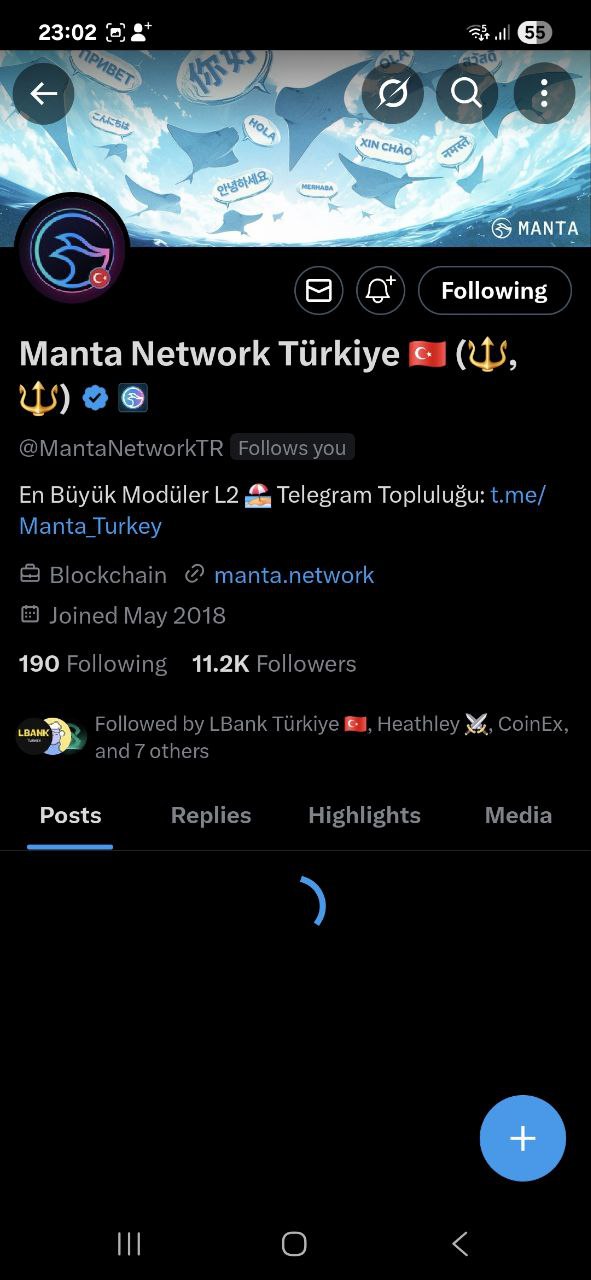 Manta Network TR